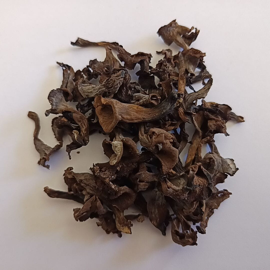 |BIO| - Trompettes de la mort séchées