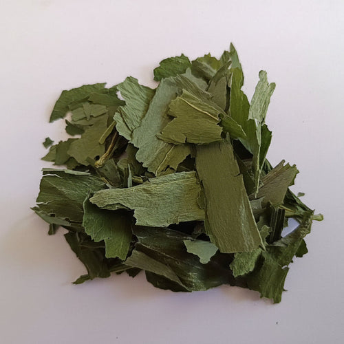 Ail des Ours séché