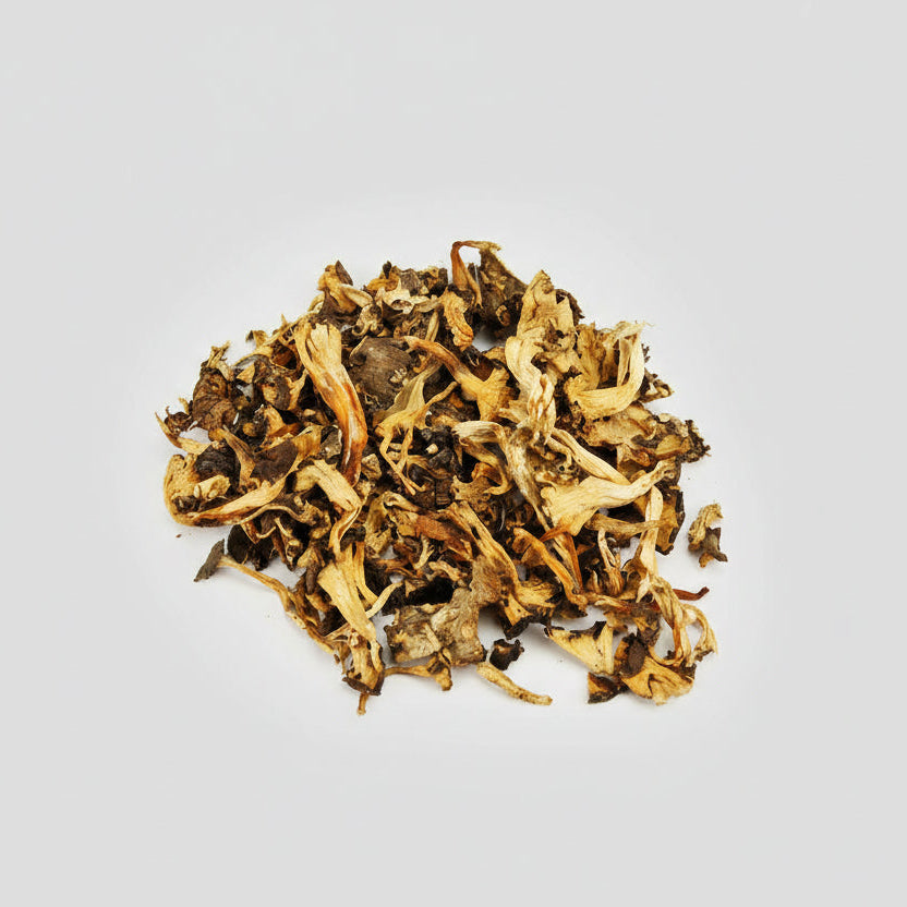 Chanterelles Jaunissantes séchées