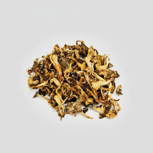 Chanterelles Jaunissantes séchées